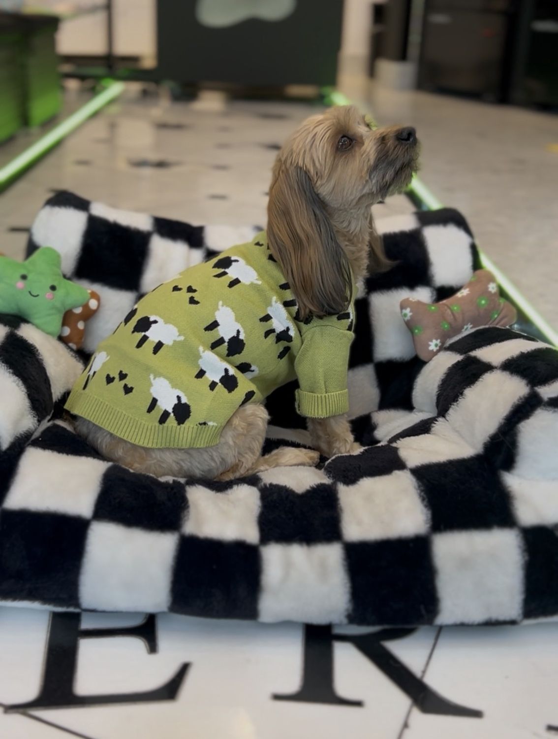 Green Sweater with Sheep, Size: Large