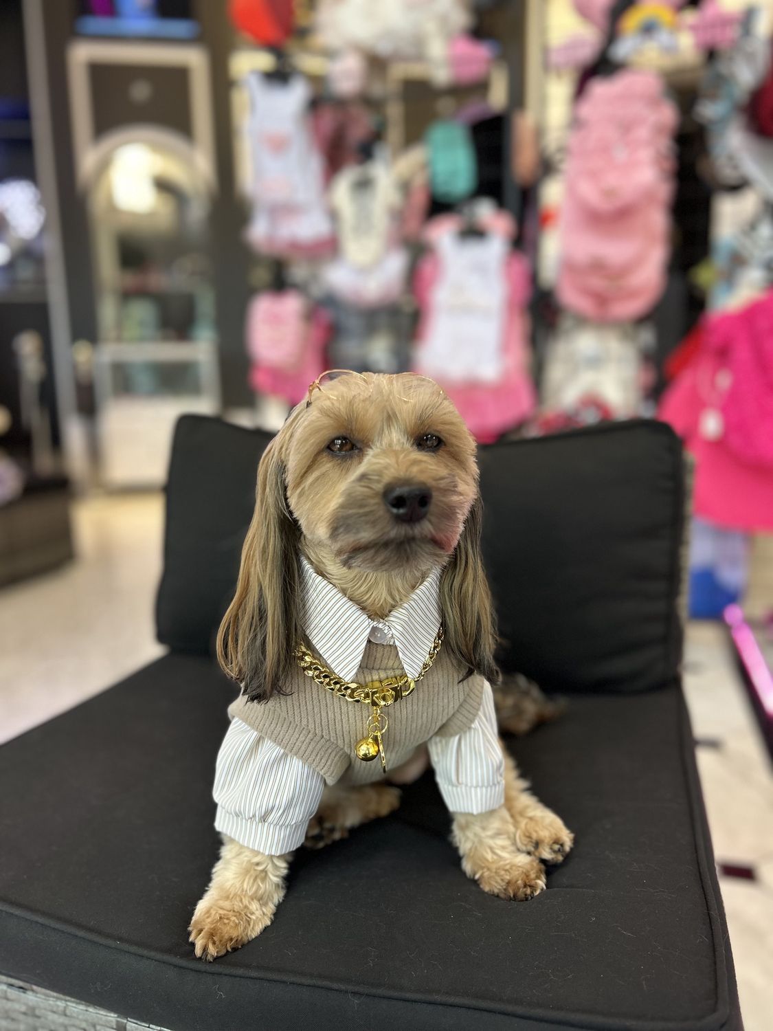 Brown Teddy Vest Shirt, Size: XL