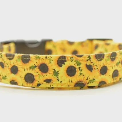 Sunflower Collar, Size: Small