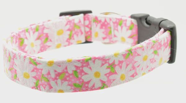 Pink Daisy Collar, Size: Large