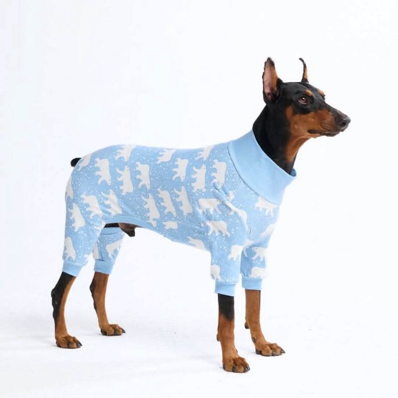 Snowy Polar Bear Pajamas