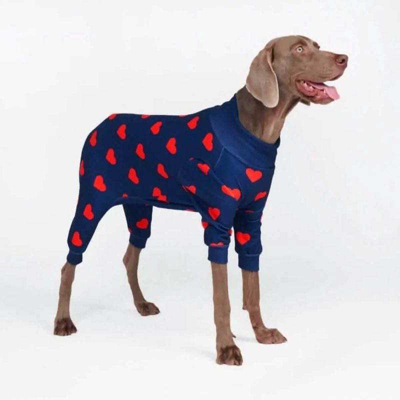 Hearts Dog Pajamas