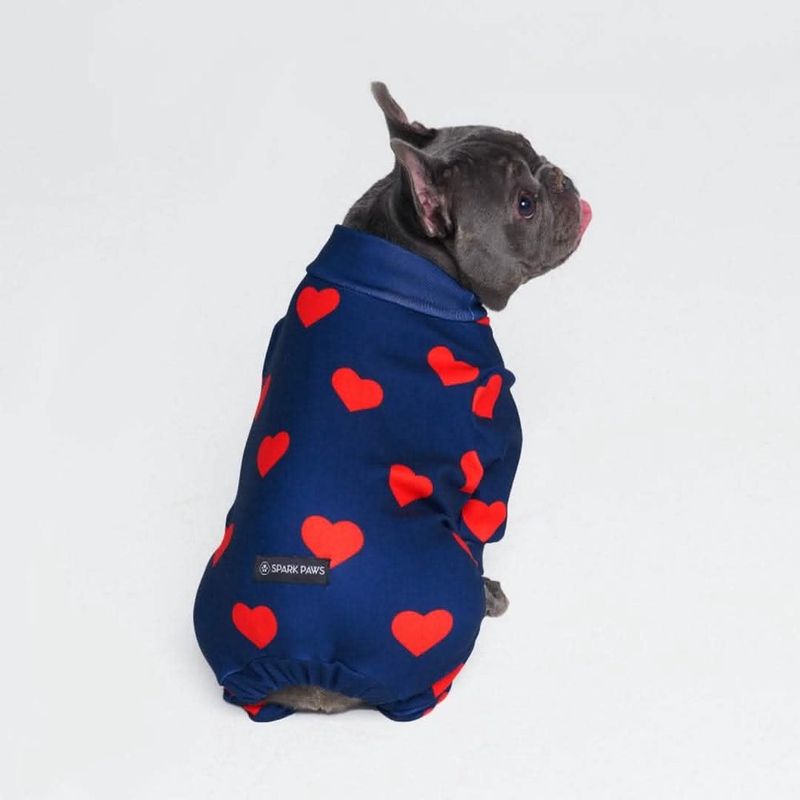 Hearts Dog Pajamas