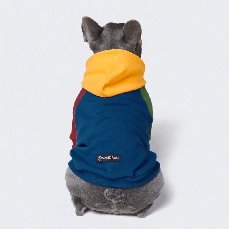 Primary Block Dog Hoodie
