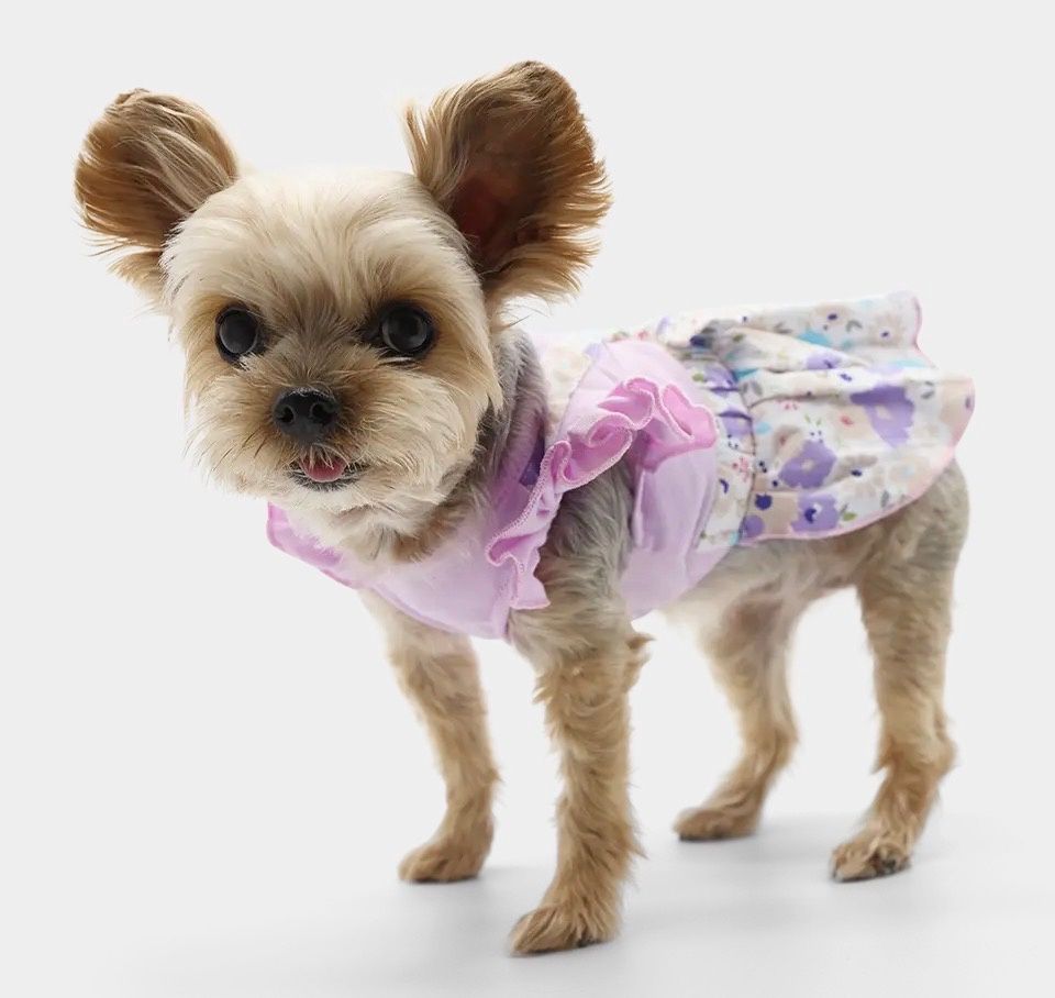 Lavender Floral Dress Dogo, Size: Medium