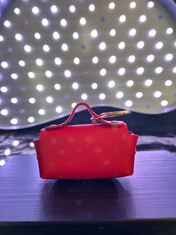 Waste Bag Holder Purse - Red
