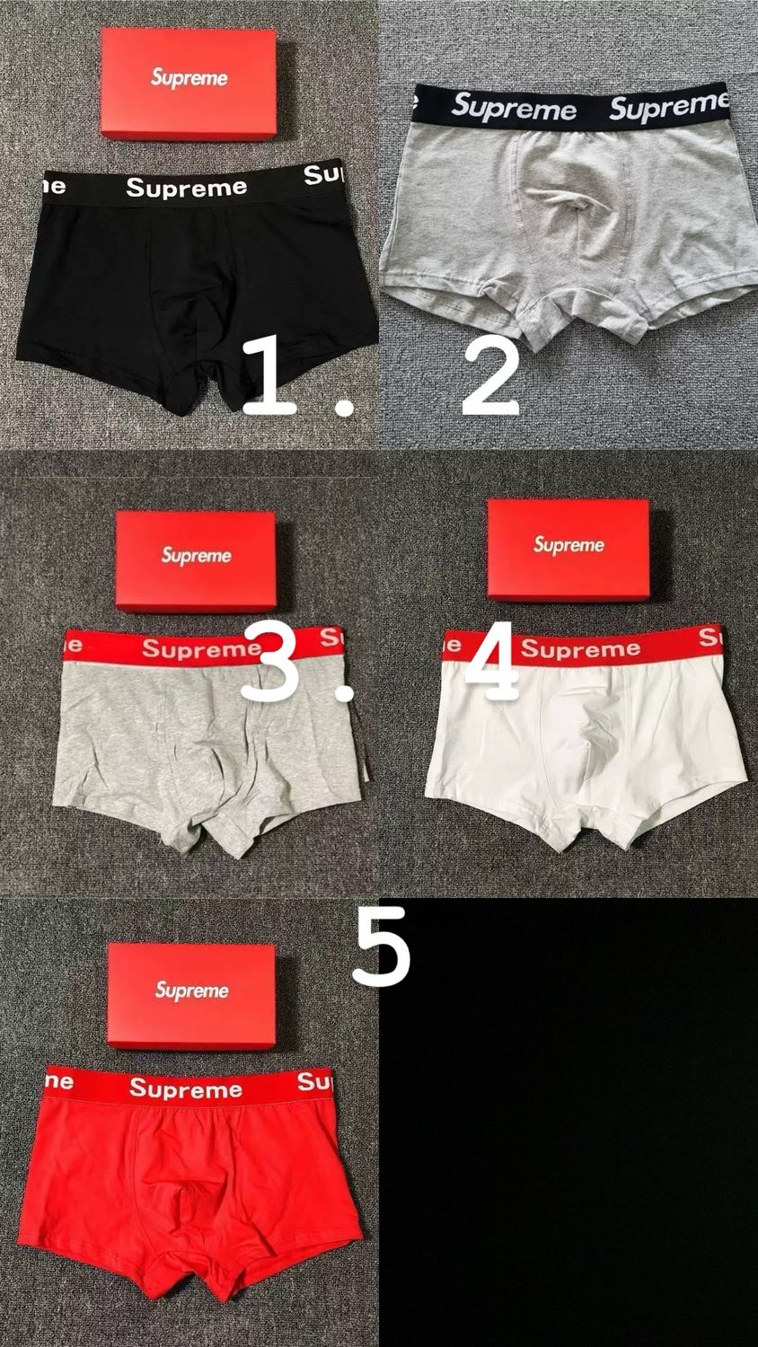 Boxer 4