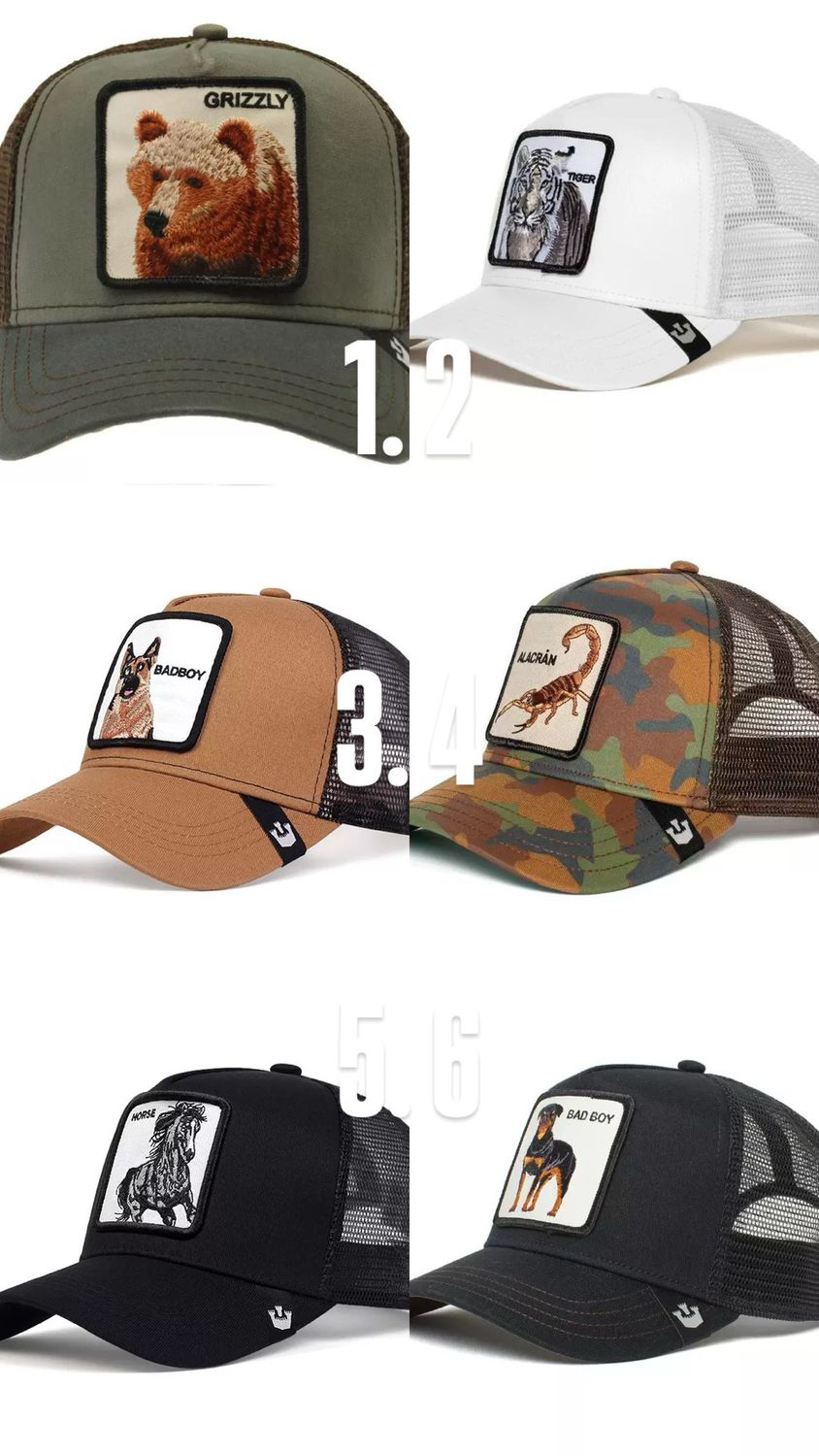 Cap 16-10 Colori