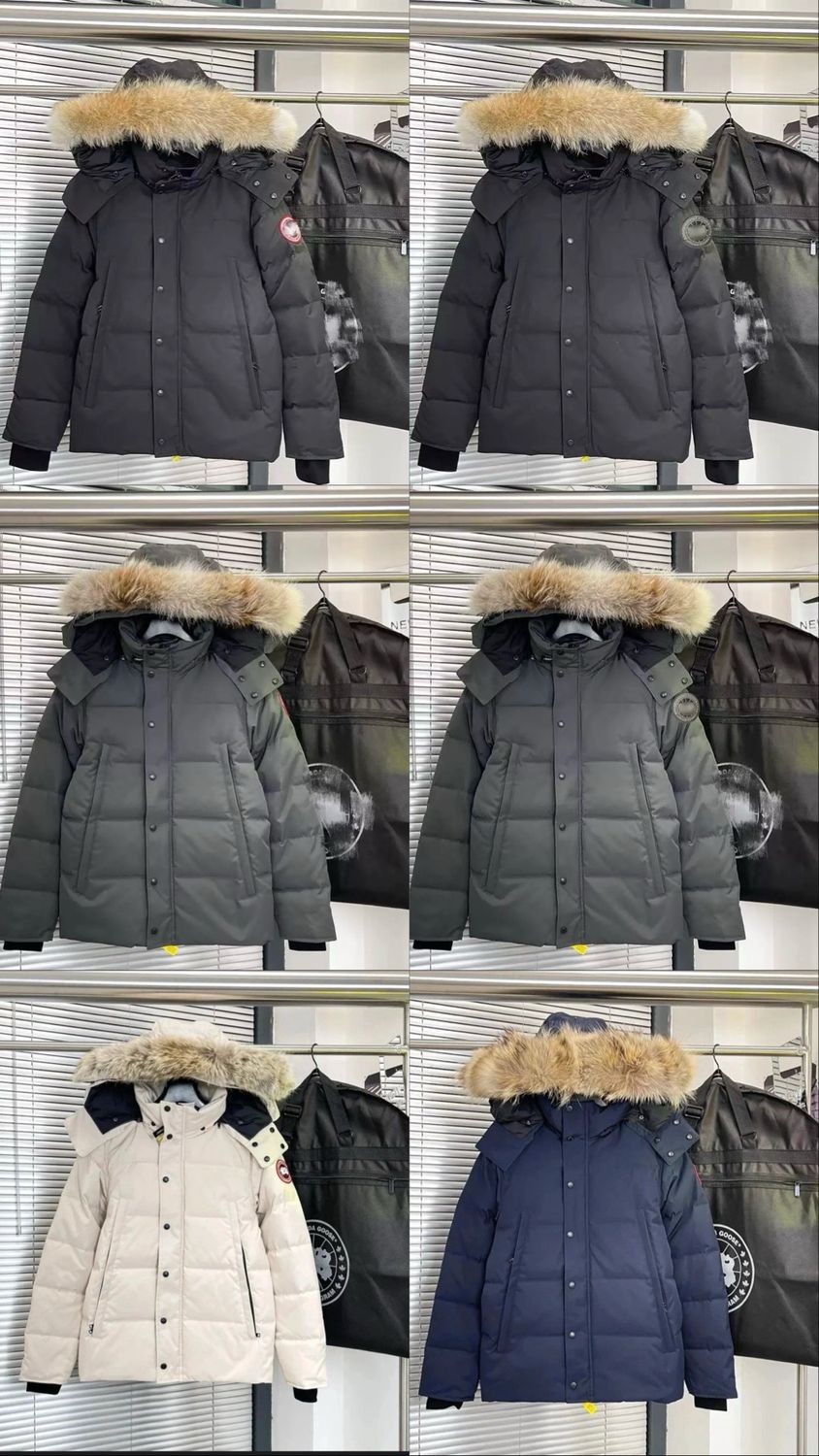 Puffer 22