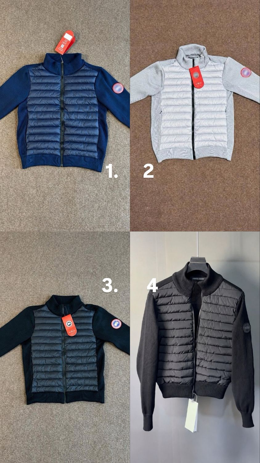 jacket 40 - 4 colori
