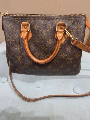 Louis Vuitton Speedy 25 handbag