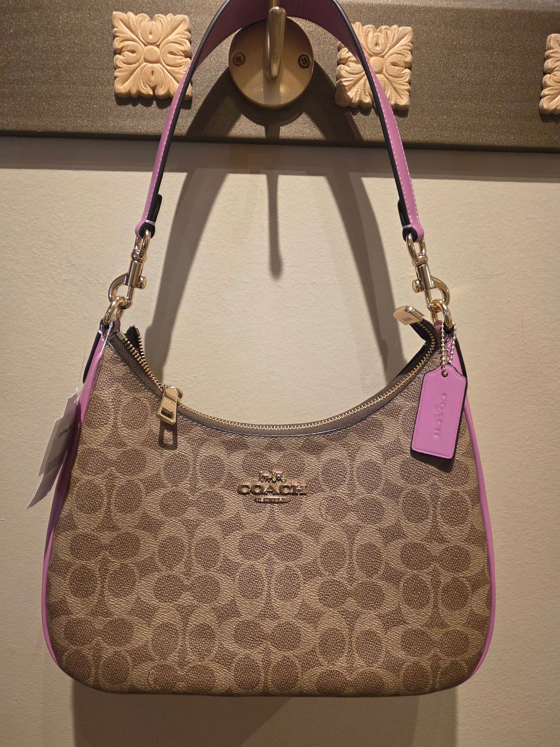 Coach Teri Hobo Bag In Signature Canvas