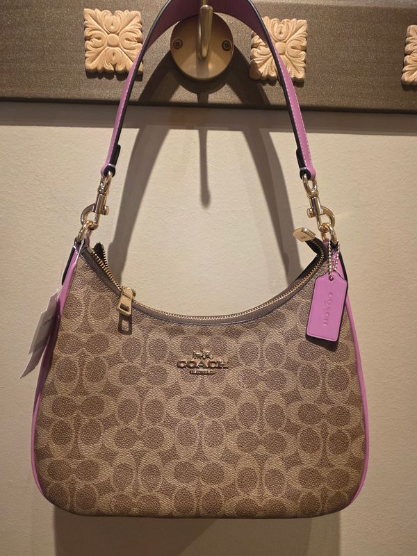 Coach Teri Hobo Bag In Signature Canvas