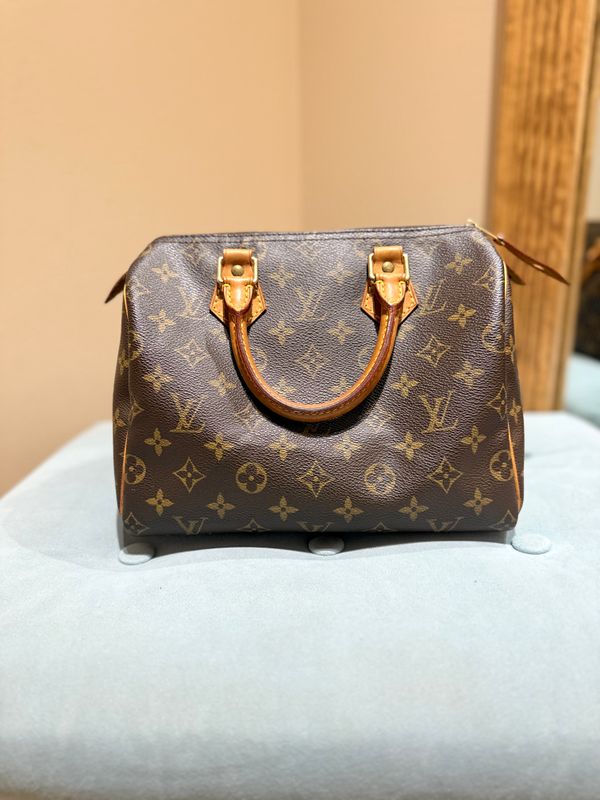 Louis Vuitton Speedy 25 Handbag