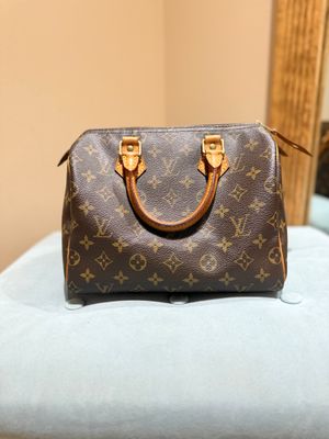 Louis Vuitton Speedy 25 Handbag