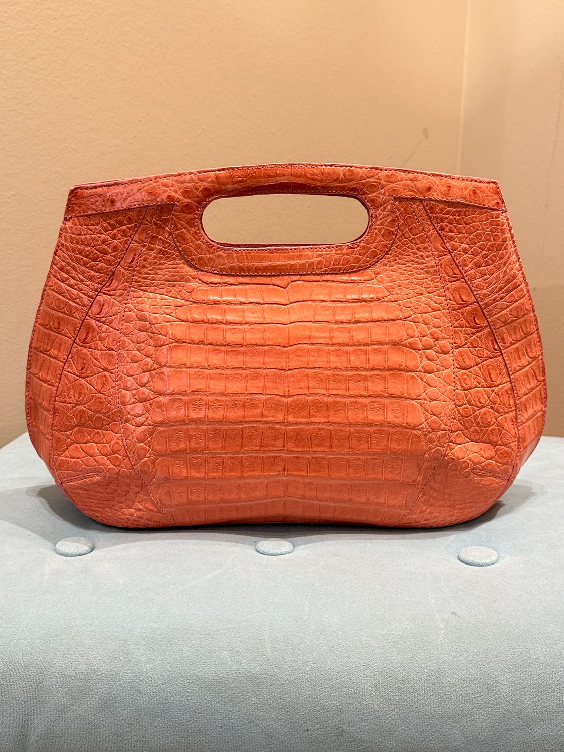 Nancy Gonzalez Alligator Bag
