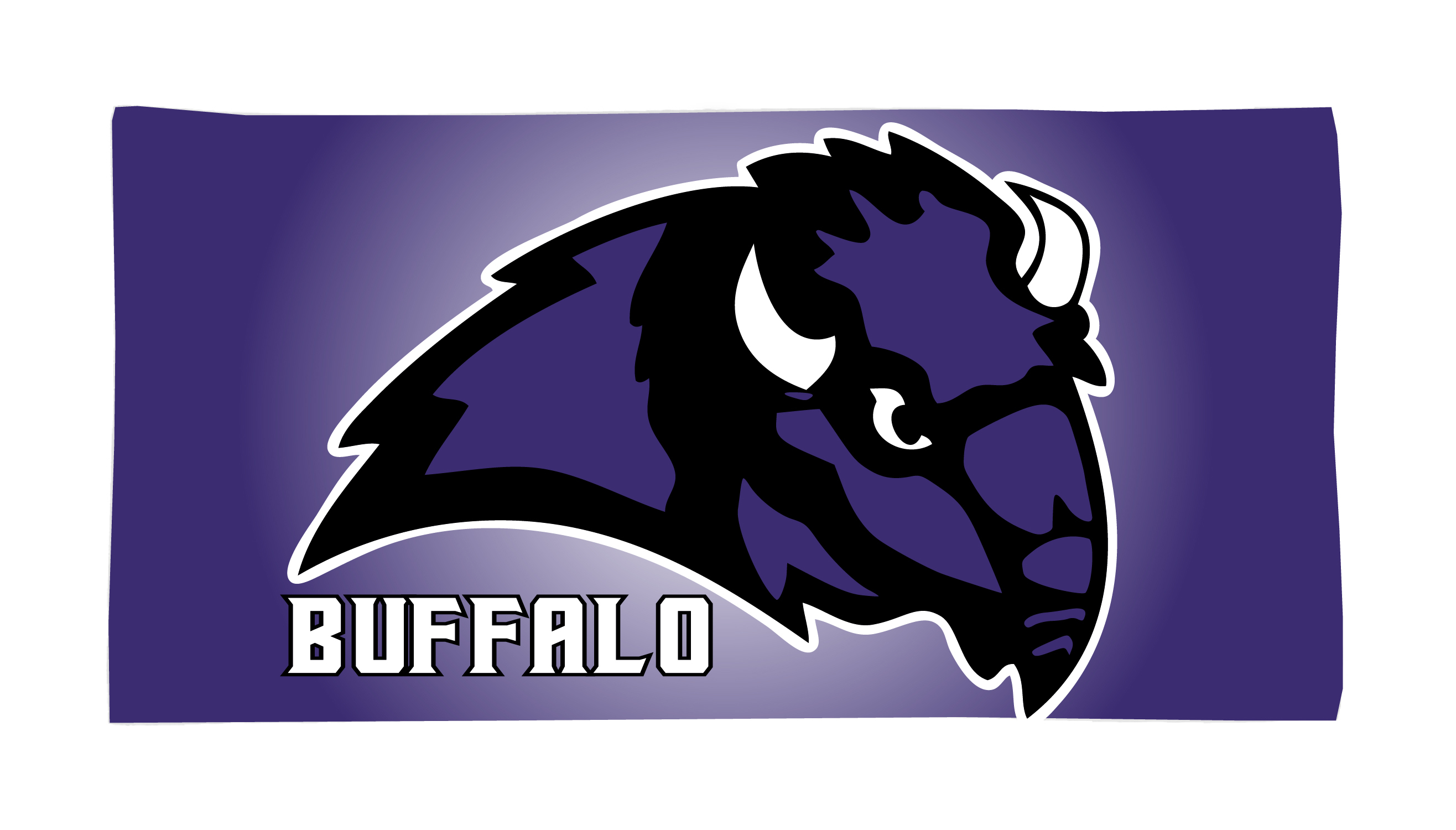 Buffalo Bison Hockey