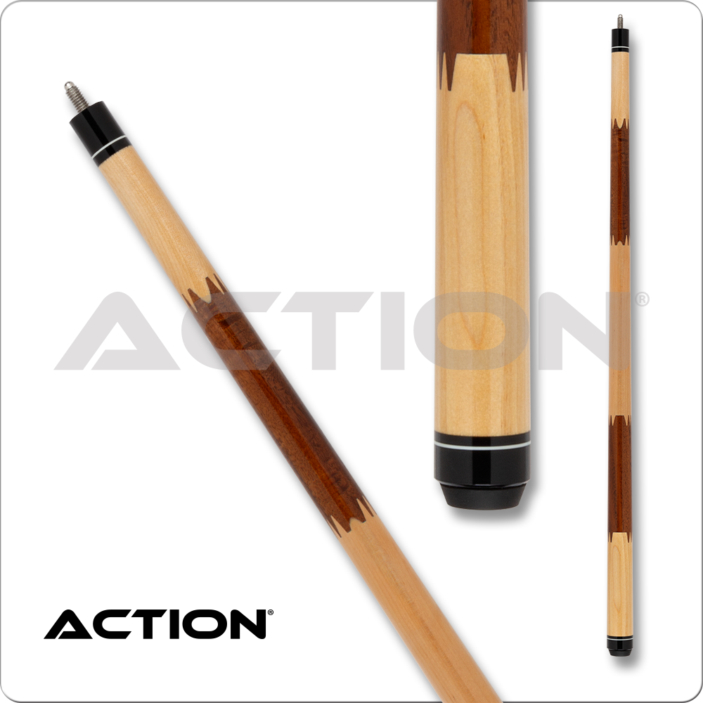 ACTION ECO01