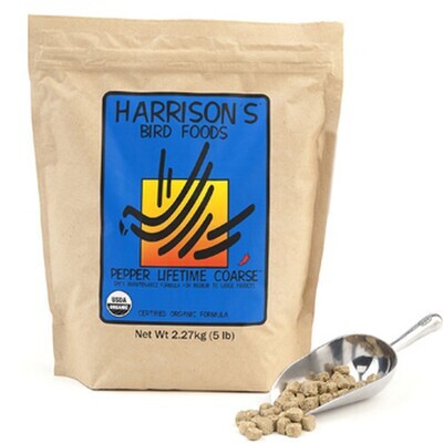 Pet Parrot Supplies