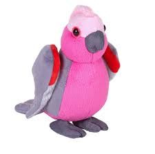 WR galah cockatoo