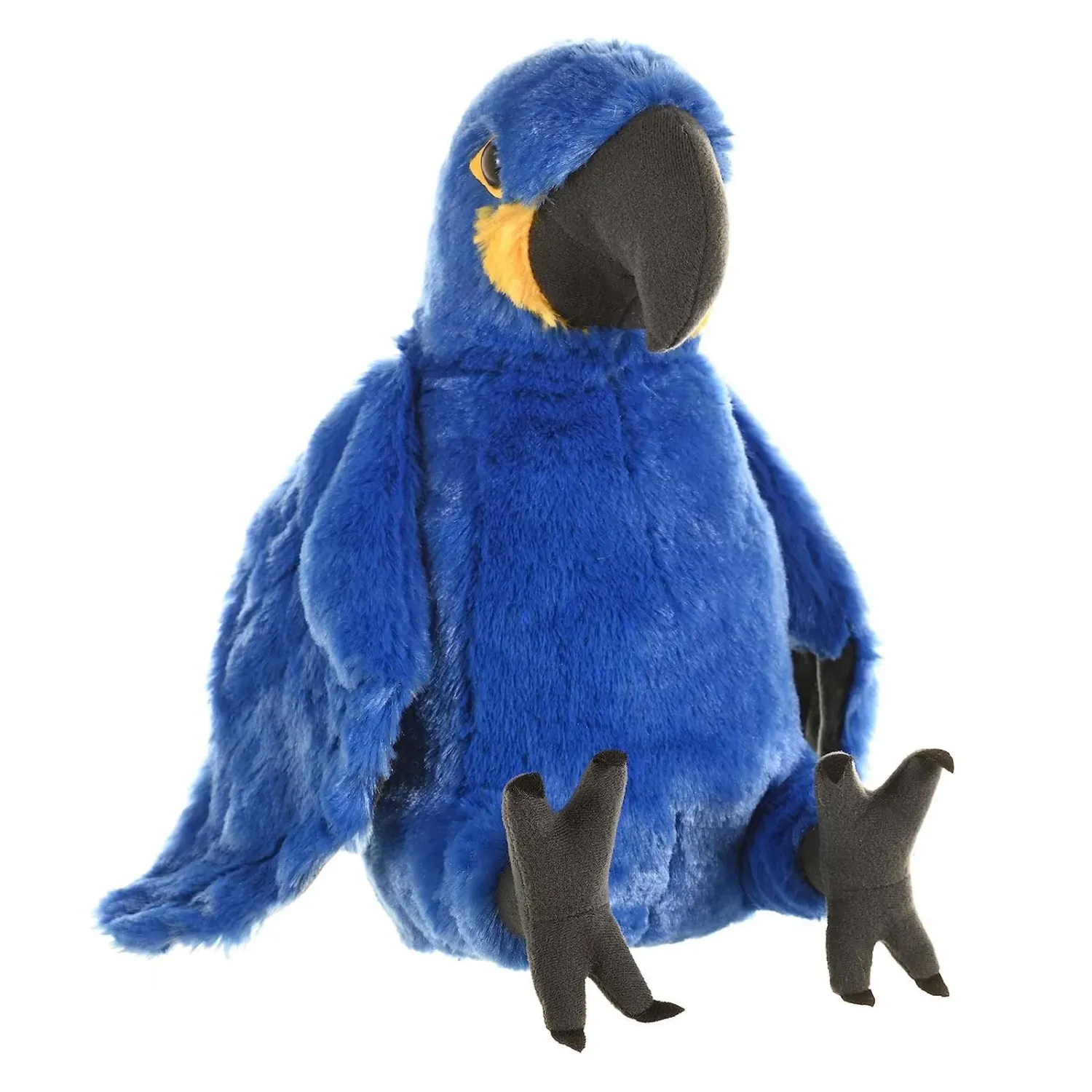 WR Hyacinth Macaw