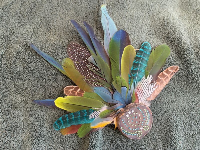 Auction Item--Short Parrot Fan