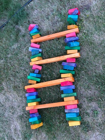 Auction Item--Ladder