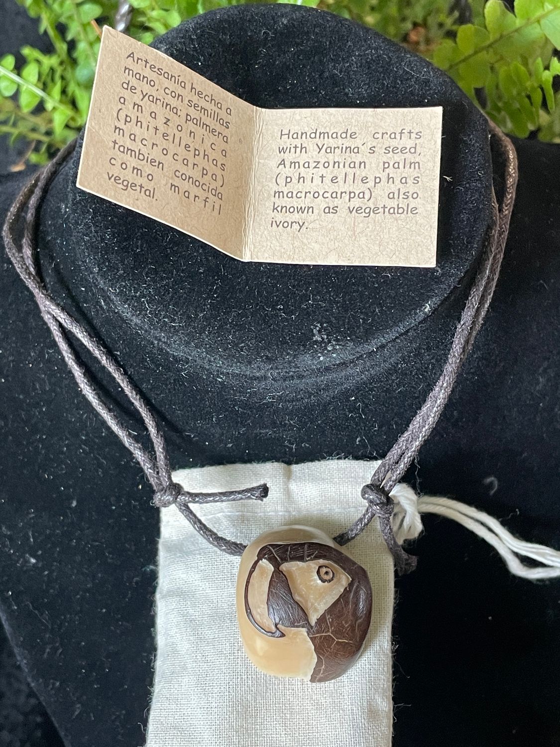 Auction Item--Parrot Nut Necklace