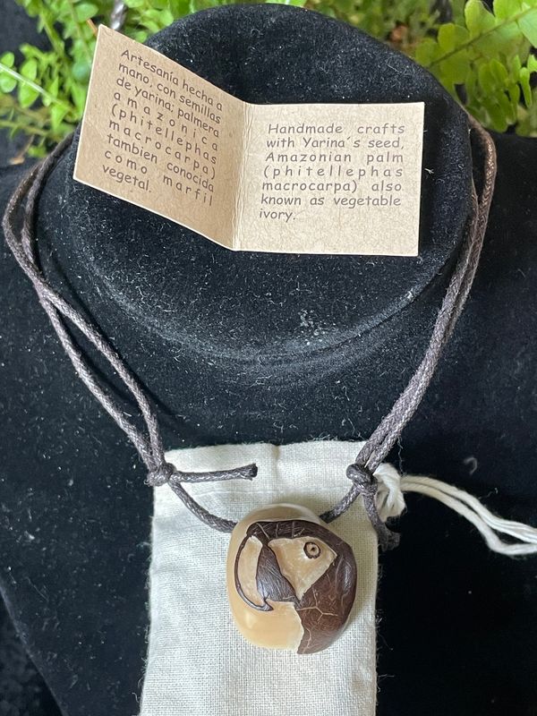 Auction Item--Parrot Nut Necklace