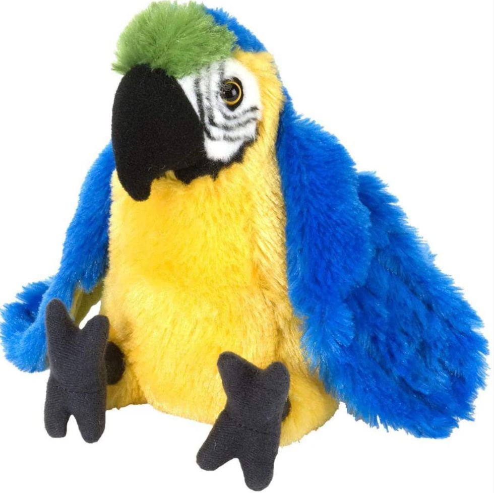 WR Cuddlekins 8&quot; (baby BG)