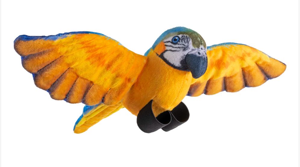 WR Flying Blue and Gold