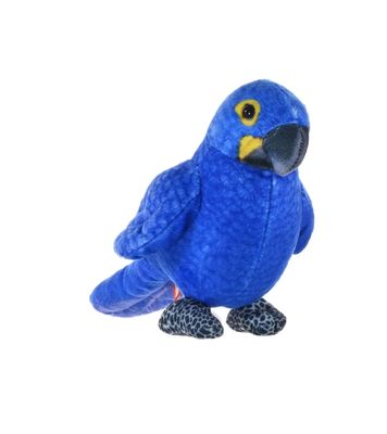 WR Rainforest Series Hyacinth