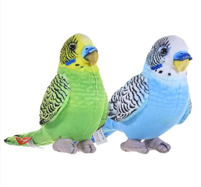 WR Living Earth Budgie