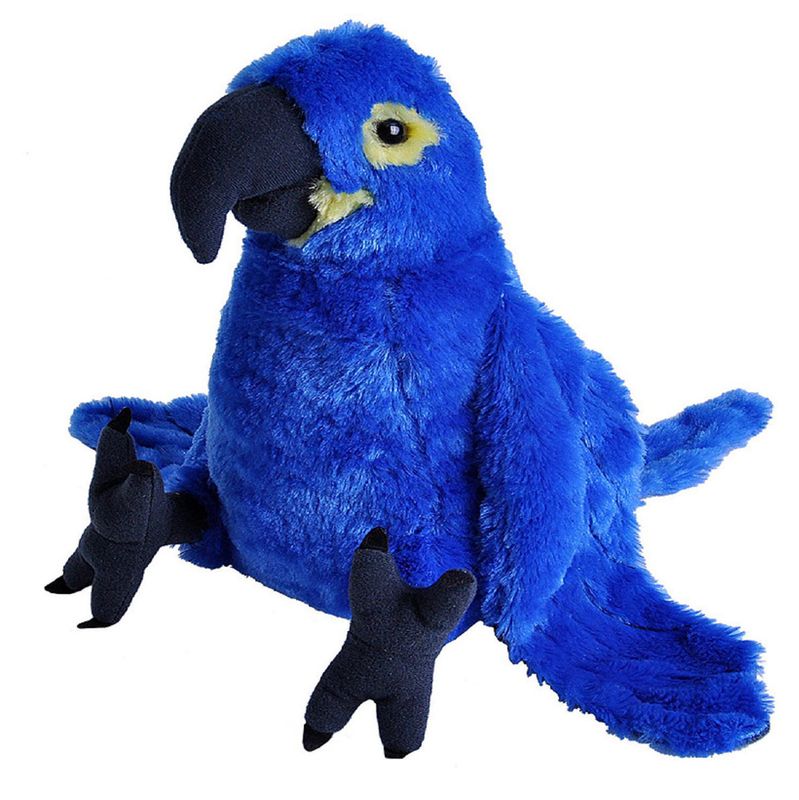 WR 12" Hyacinth Macaw