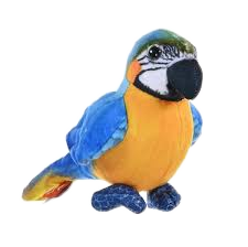 WR Rainforest Series Blue and Gold