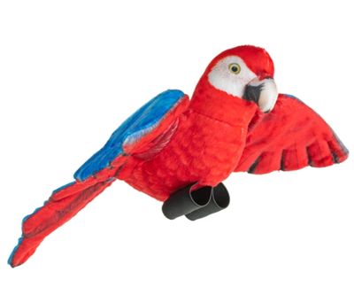 WR Flying Greenwing Macaw