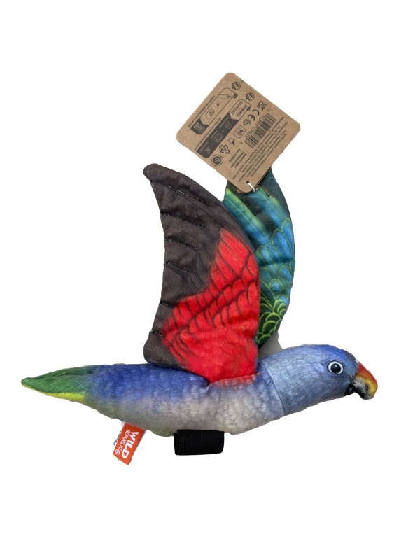 WR Flying Blue Rump Parrot