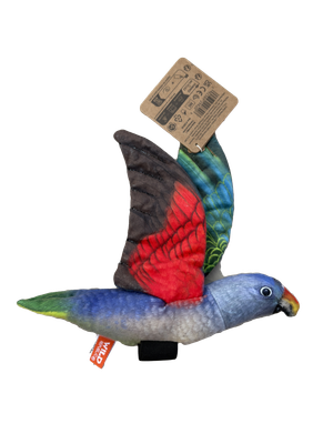 WR Flying Blue Rump Parrot
