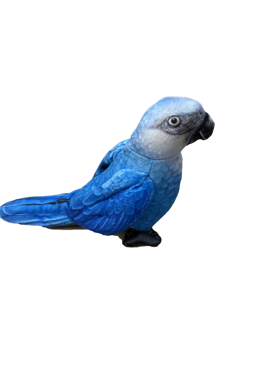 WR Rainforest Series Spix Macaw
