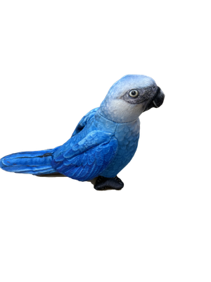 WR Rainforest Series Spix Macaw