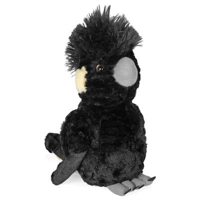 WR Yellow Tail Black Cockatoo