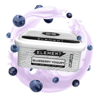 Blueberry Yogurt 200G