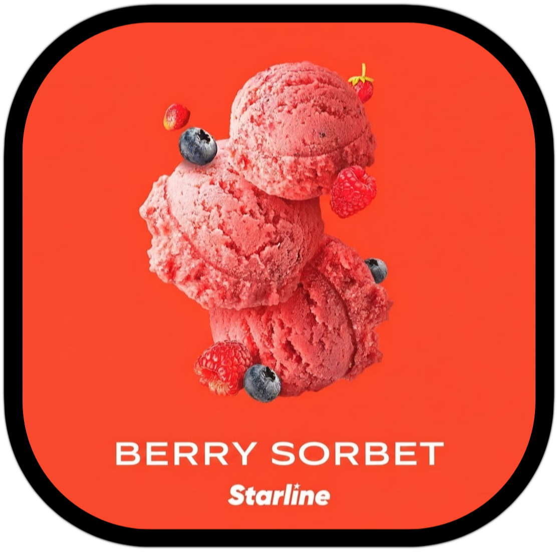 Berry Sorbet 200G