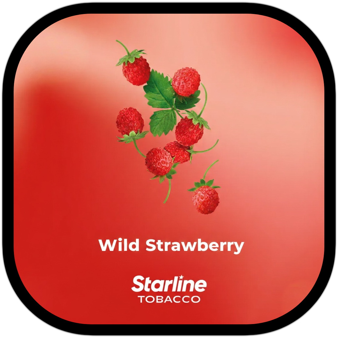 Wild Strawberry 200G