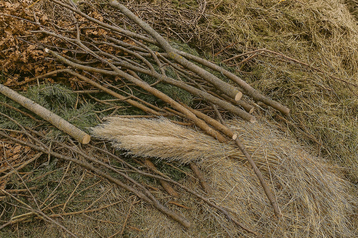 Grünabfall: Baum- & Heckenschnitt, Gartenabfälle