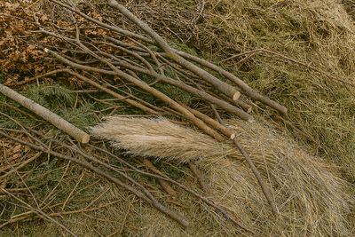 Grünabfall: Baum- & Heckenschnitt, Gartenabfälle Grünabfall: Baum- & Heckenschnitt, Gartenabfälle