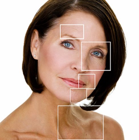 On Site Faculty Shadow with 2 Hour Training