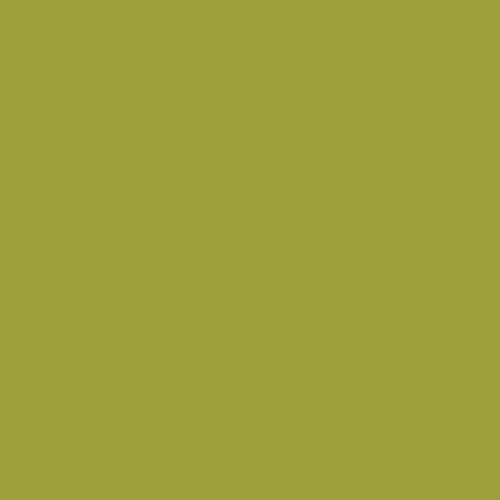 Pure Solids Parrot