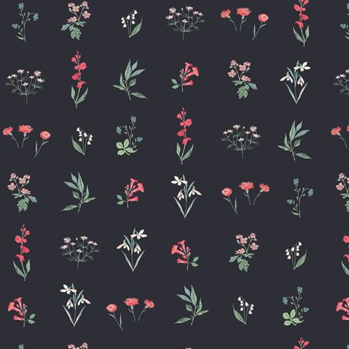 Botanical Study Dark