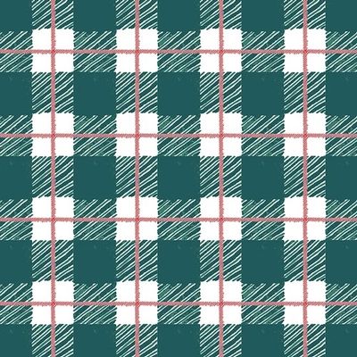 Lets Get Cozy Flannel